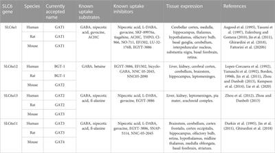 A comparative review on the well-studied GAT1 and the understudied BGT-1 in the brain